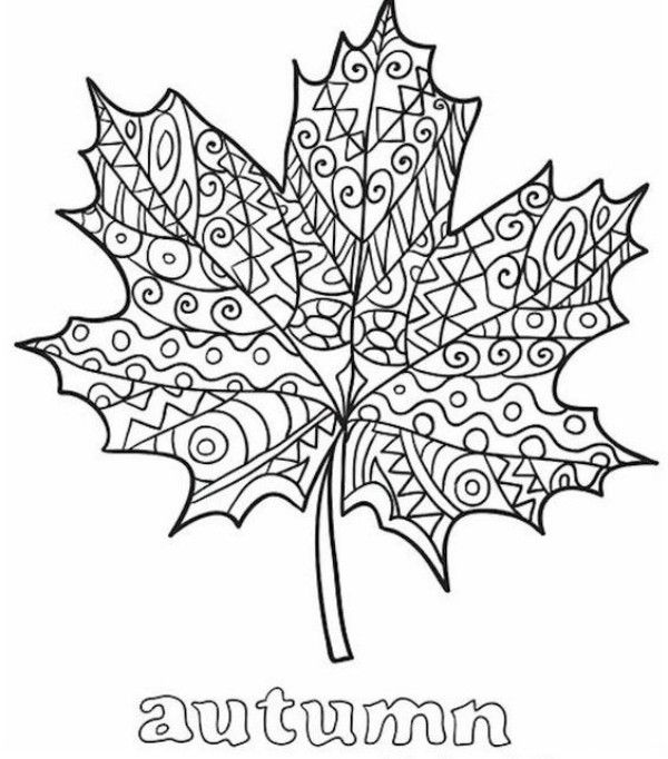 Kolorowanka duży liść